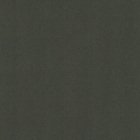 Дымчато-серый Однотонный ВО. 91571-1